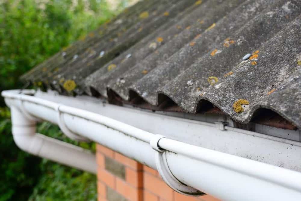 Asbestos Management Training