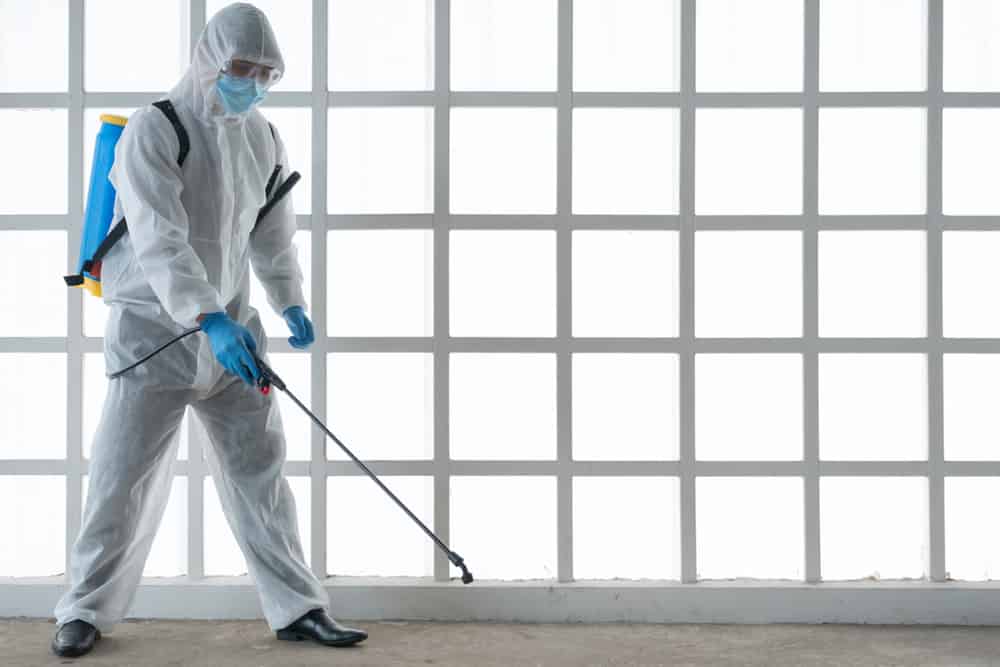 hard floor spray stripping training