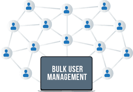 bulk user management